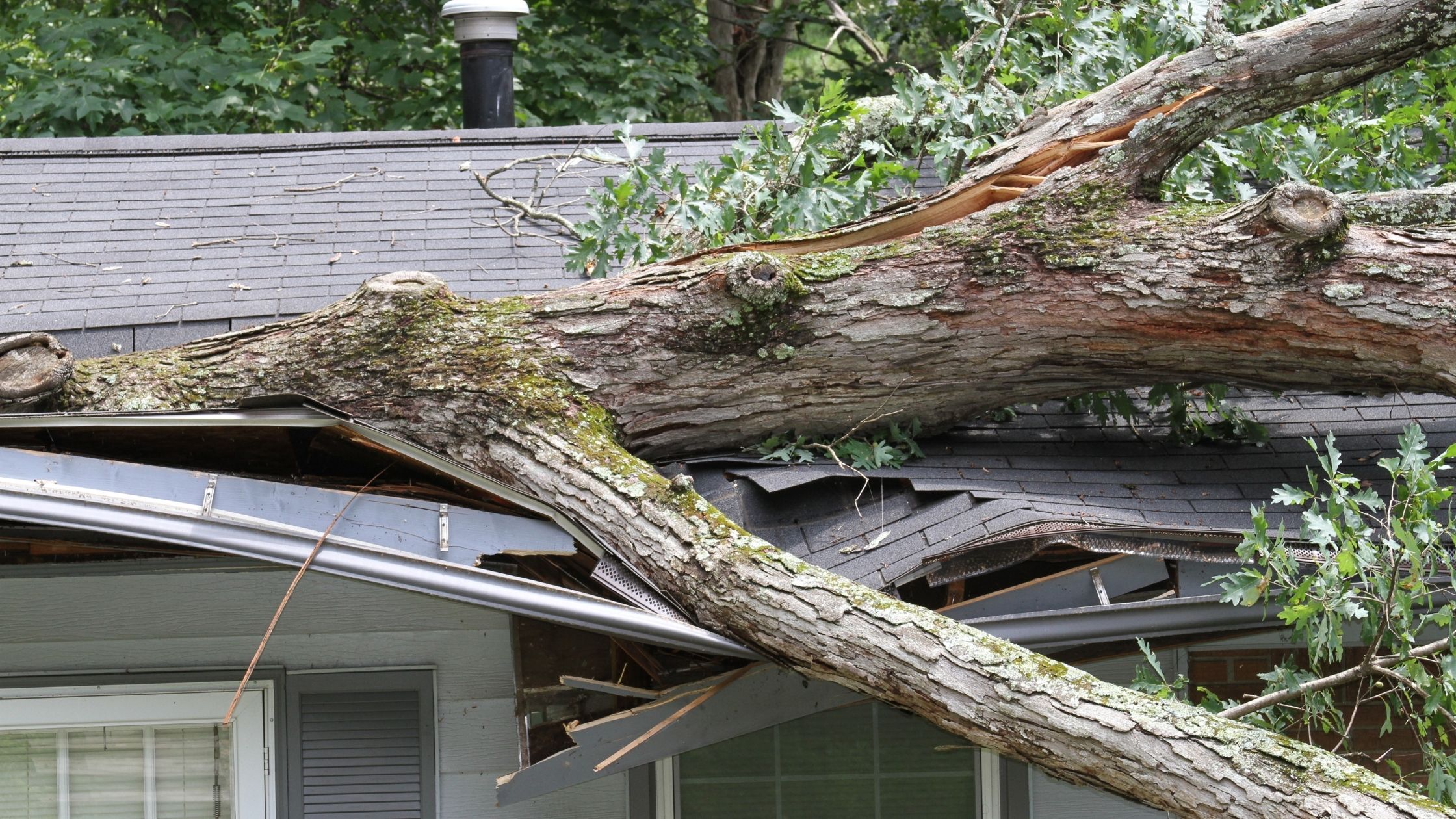 Which Natural Disasters Does My Homeowner's Insurance Cover?